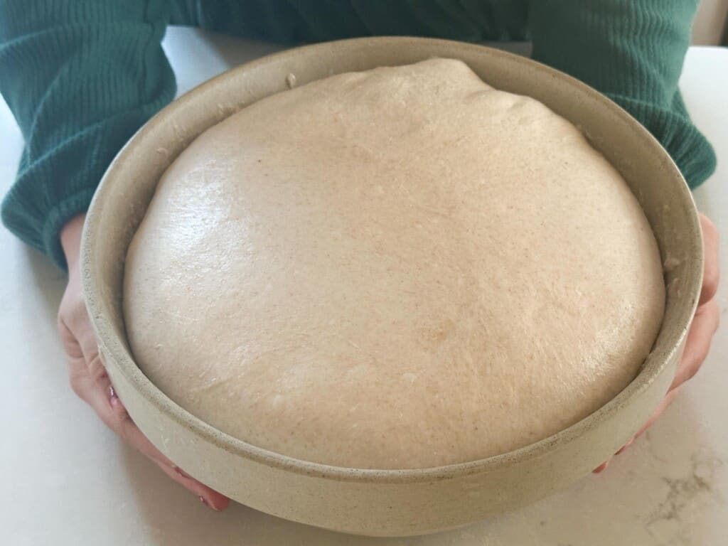 mini sourdough loaf dough in a bowl after bulk fermentation 