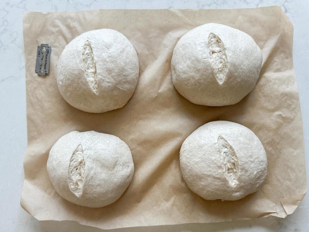 Four dough balls scored on a piece of parchment paper