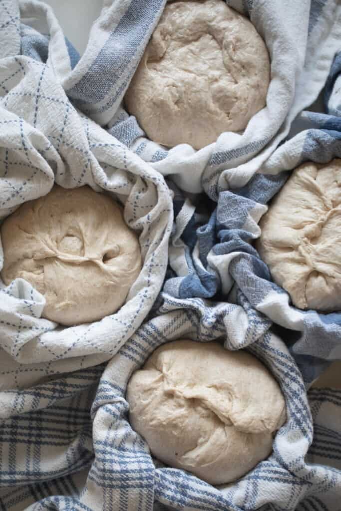 mini sourdough loaves in floured banneton bowls with tea towels