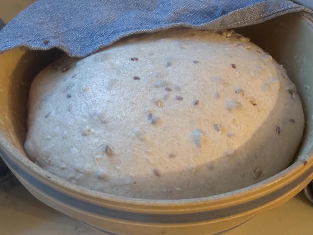 Seeded sourdough bread dough in a large bowl after bulk fermentation