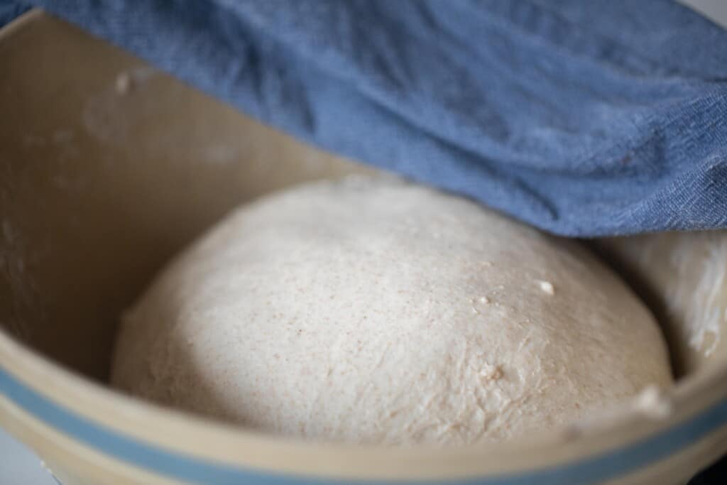 Seeded sourdough bread in a large bowl with a blue tea towel over it