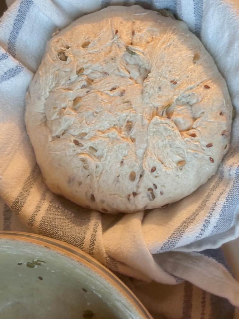 Seeded sourdough bread dough in a tea towel lined bowl for final proof