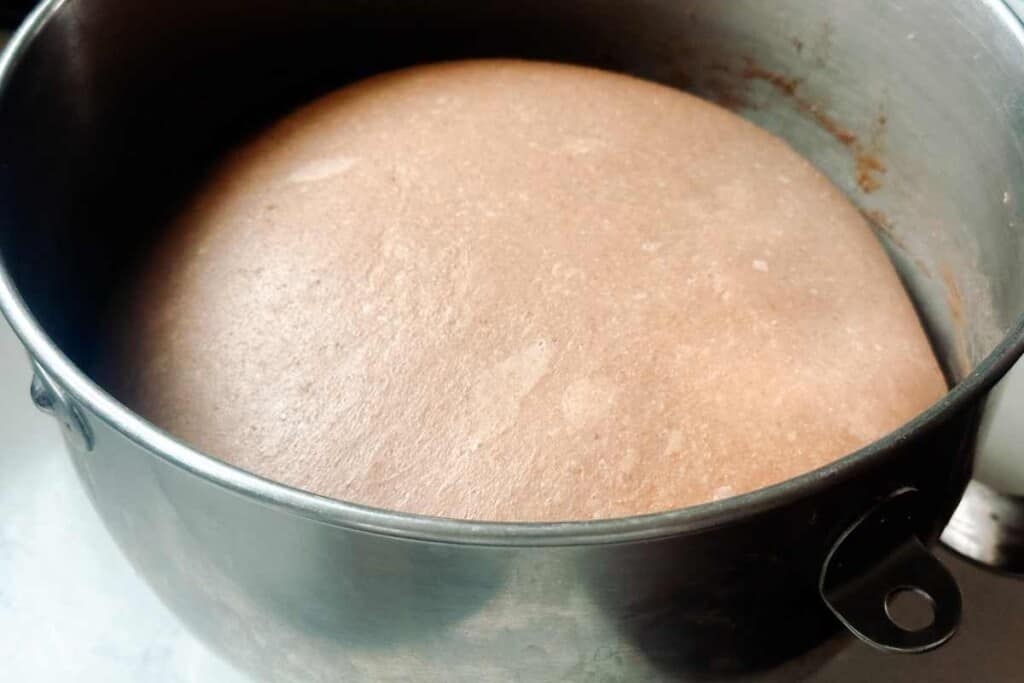 sourdough brown bread bulk ferment in oiled silver bowl