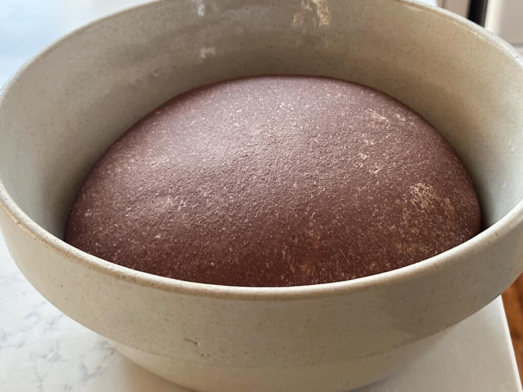 pumpernickel bread dough in a stoneware bowl