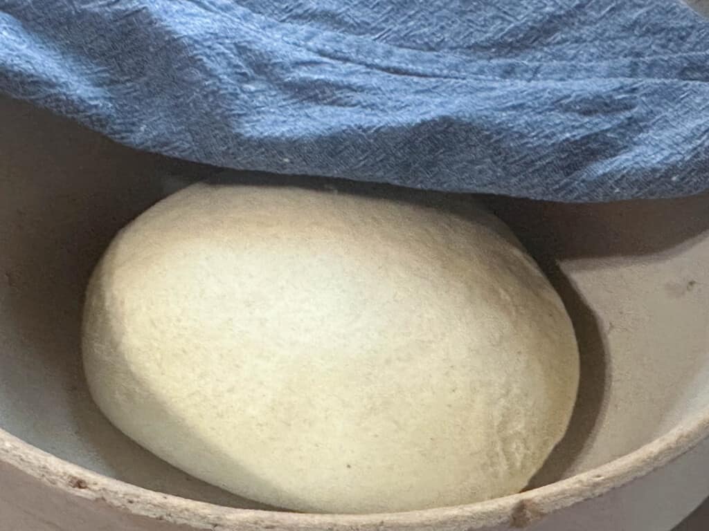 dough in a bowl 