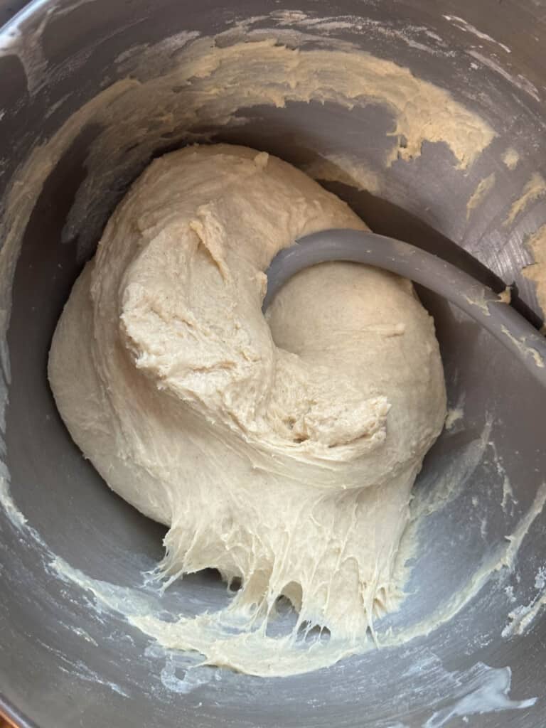 dough in a stand mixer bowl with dough hook attachment 