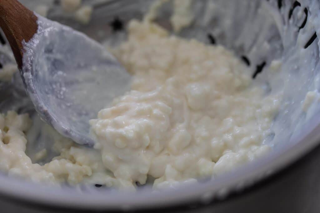 kefir grains after being strained out with a wooden spoon 