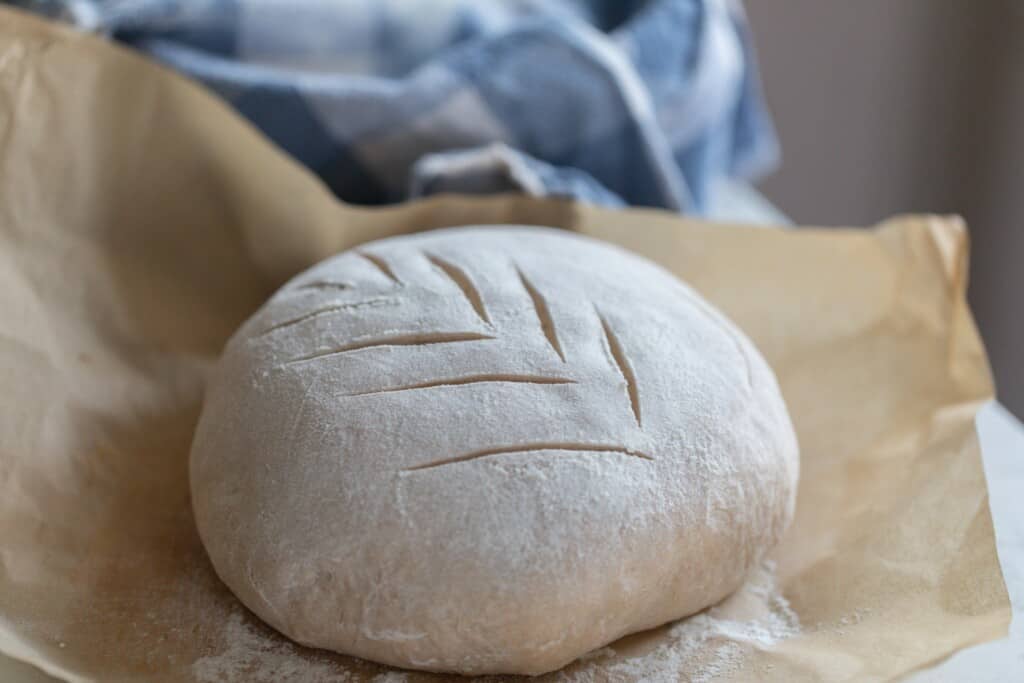 A loaf of low hydration sourdough scored and ready to be baked on a piece of parchment paper