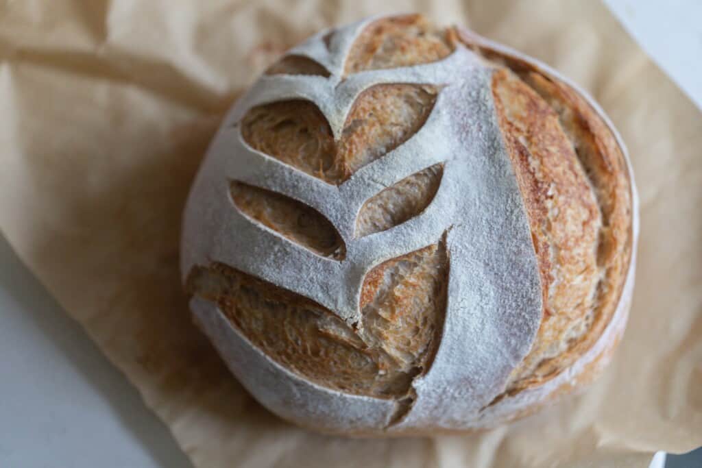 A low hydration sourdough loaf on a piece of parchment paper