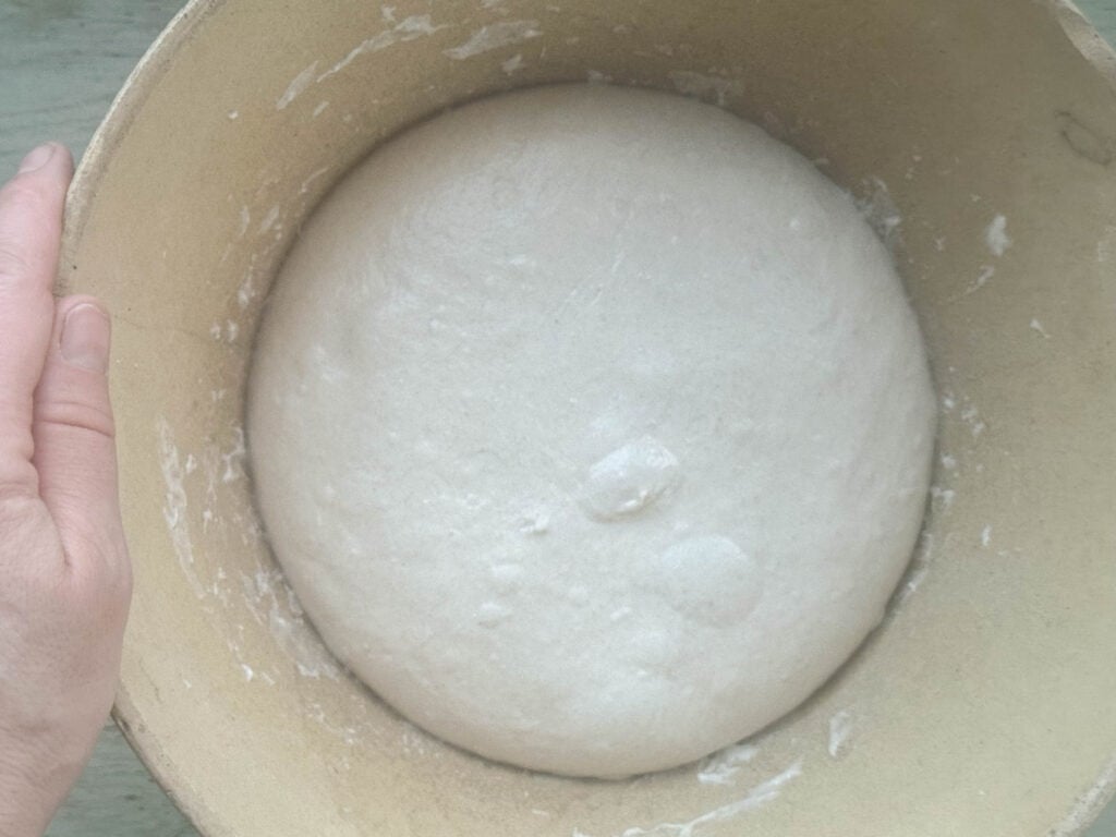Small batch sourdough bread dough in a large bowl after bulk fermentation