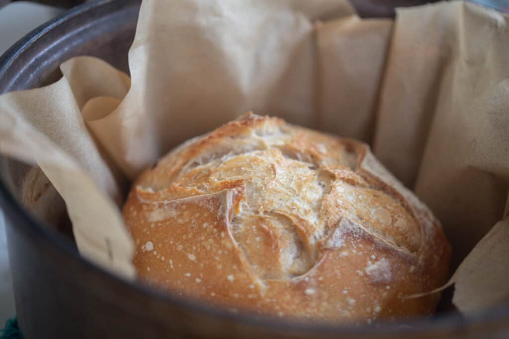small batch sourdough bread in a parchment lined dutch oven baked until golden brown