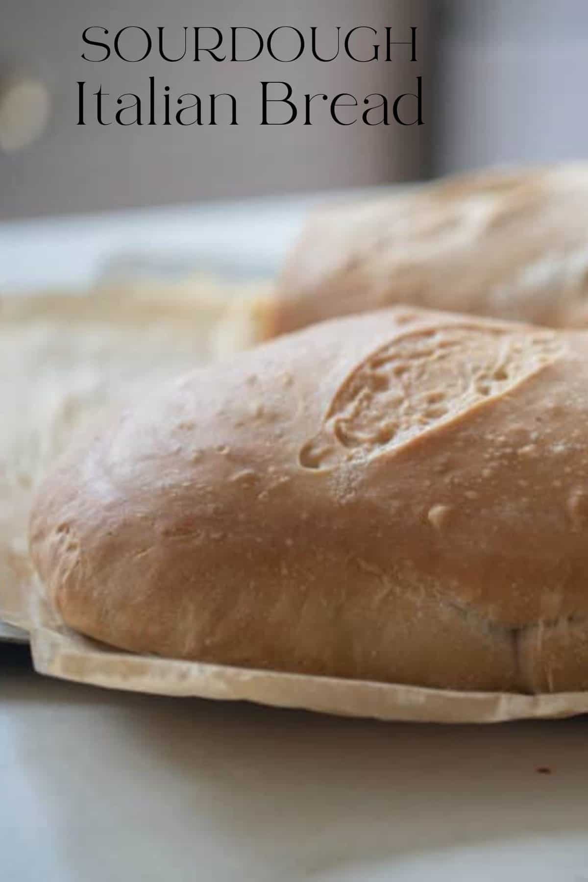 two loaves of fresh baked sourdough Italian bread on parchment paper on white countertop