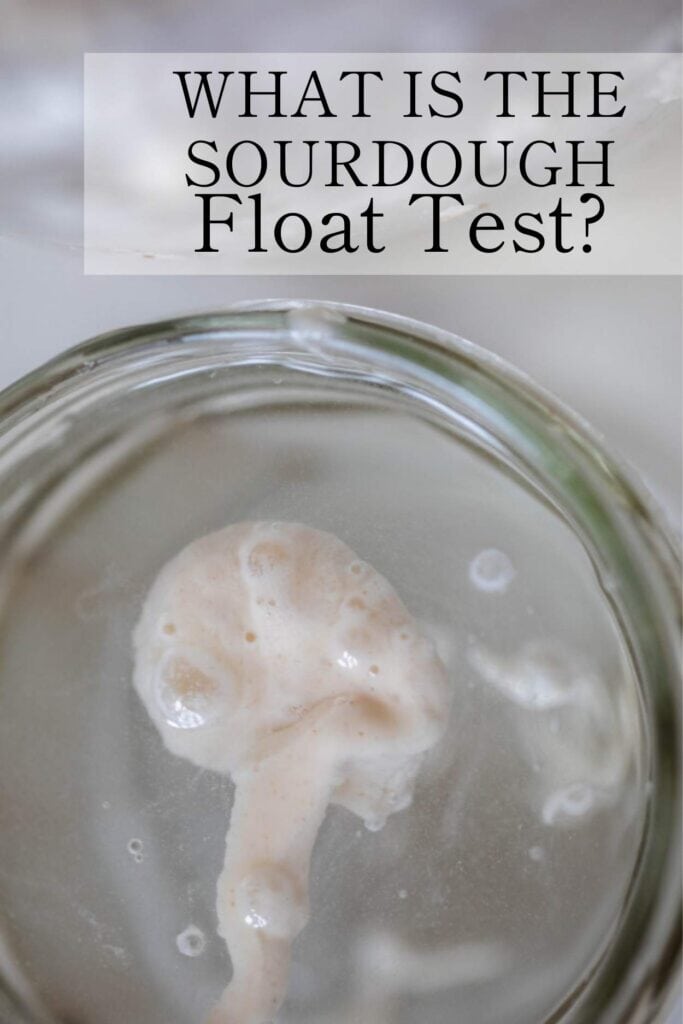 a dollop of sourdough starter floating in a jar of water