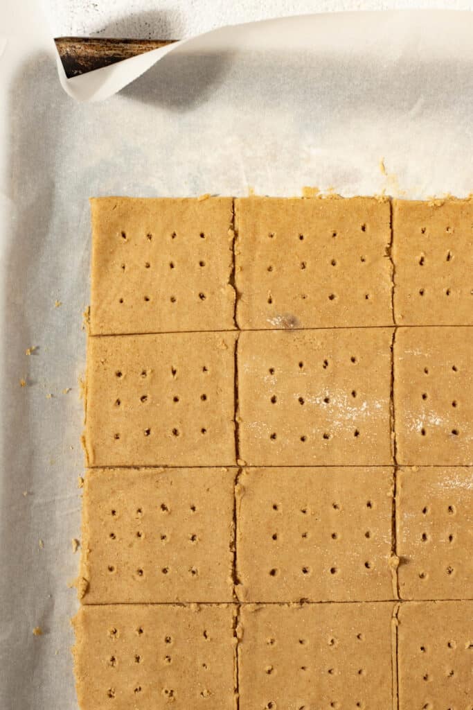 sourdough graham cracker dough cut and poked with holes on a parchment lined baking sheet