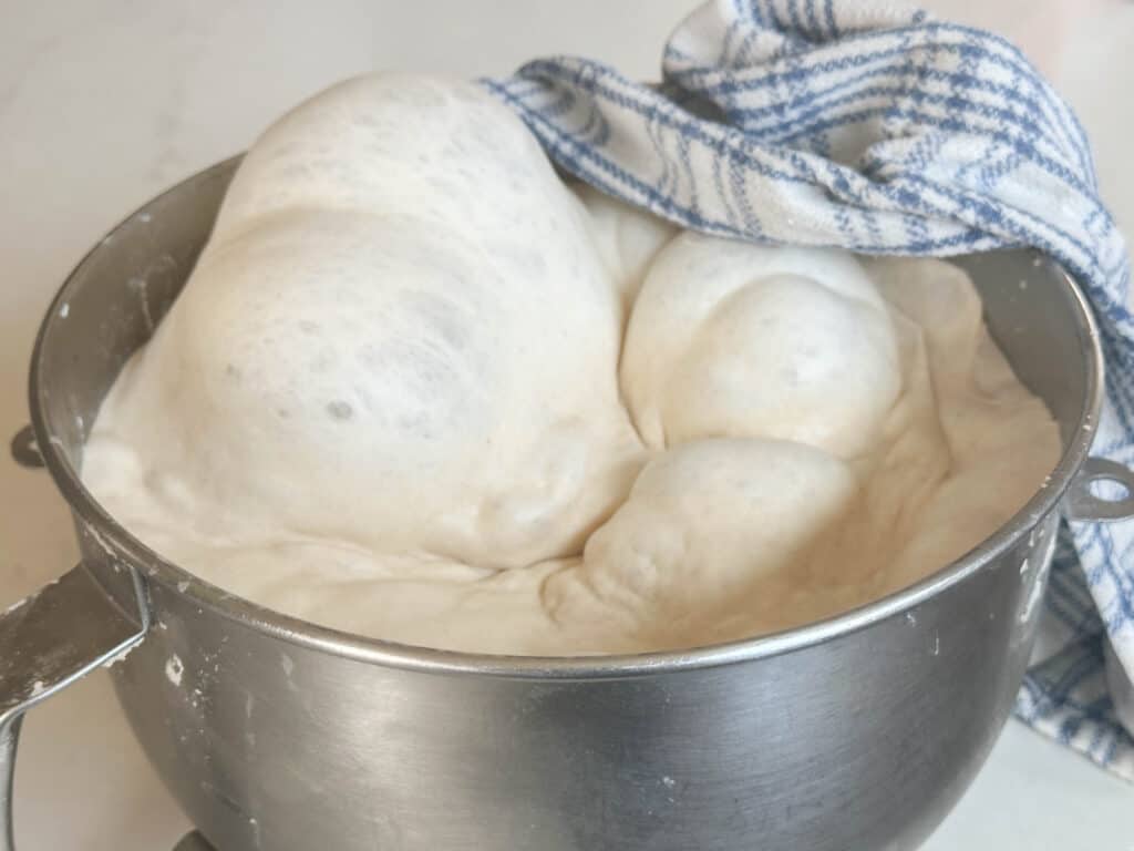 risen sourdough bread dough with lots of bubbles in a stainless bowl