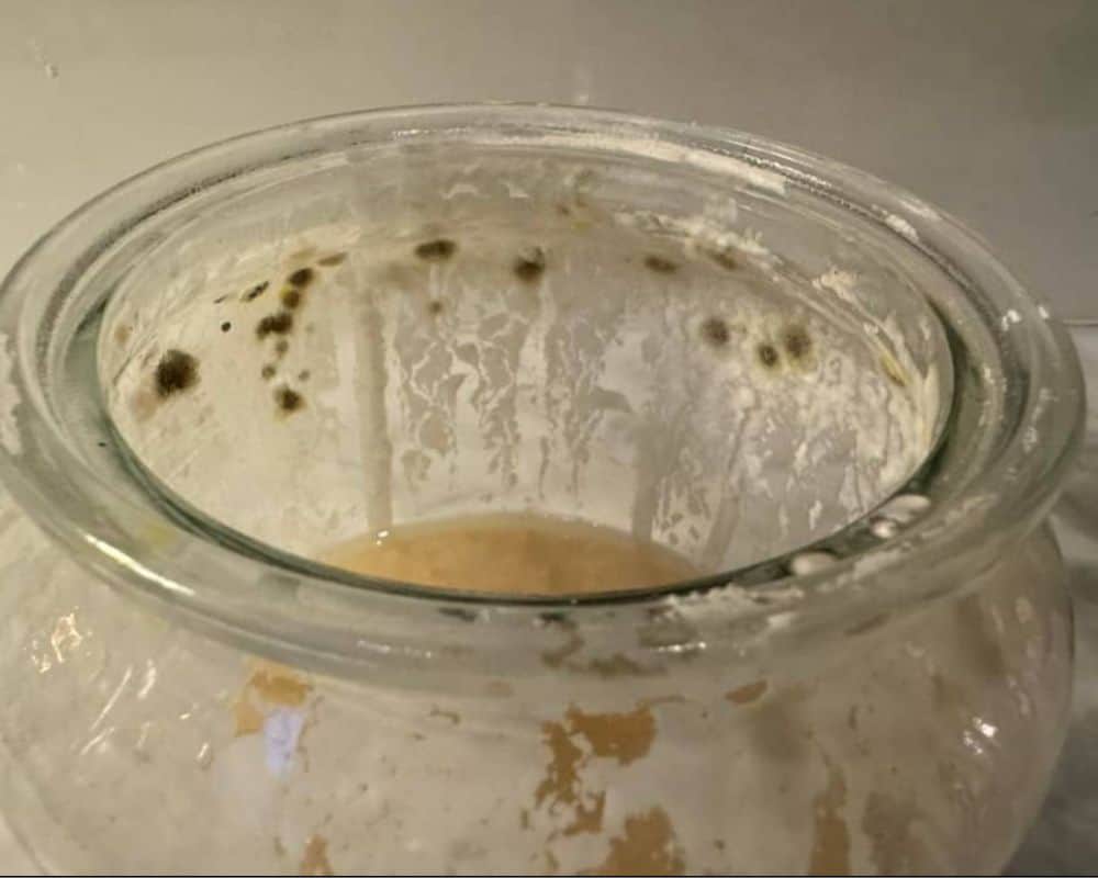 a sourdough starter with mold in a glass jar