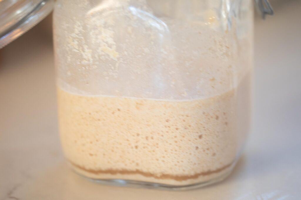 side view of whole wheat sourdough starter in a glass jar