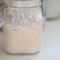 side view of a glass flip top container of whole wheat sourdough starter