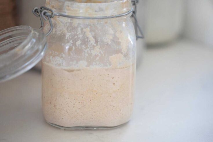 King Community visual data 4