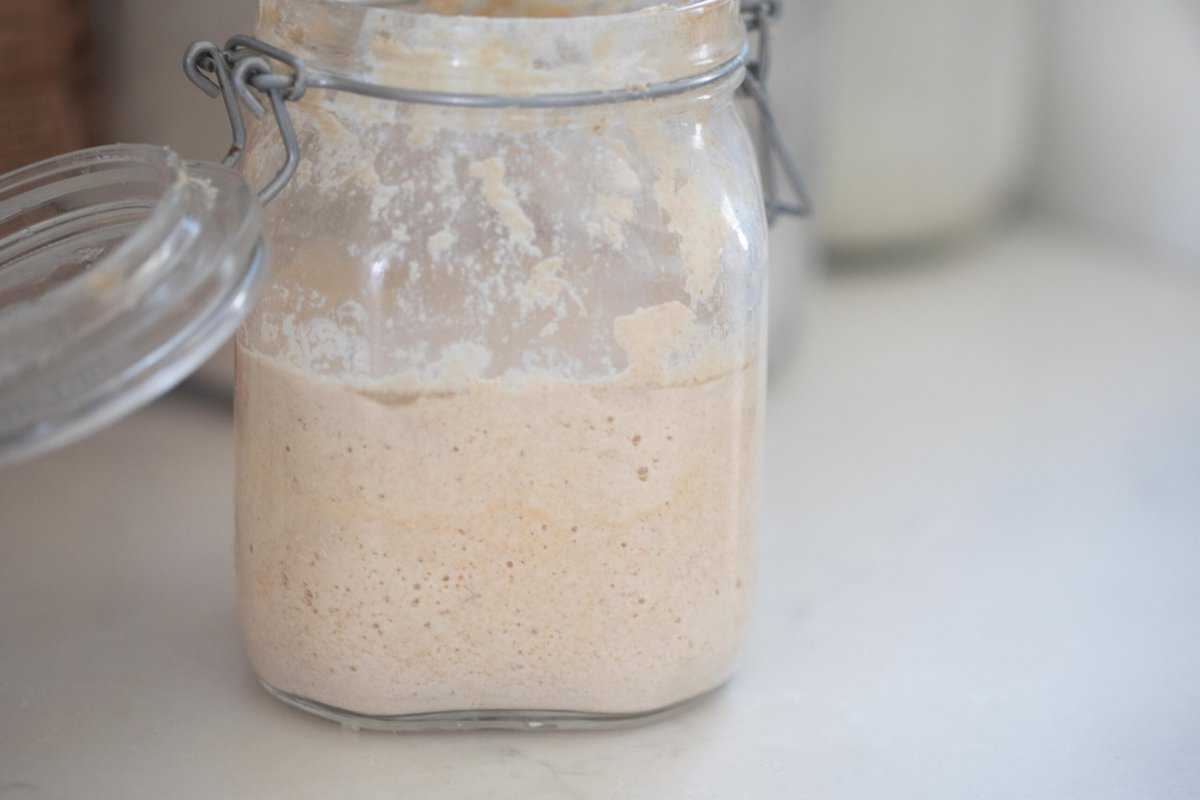 whole-wheat-sourdough-starter-farmhouse-on-boone