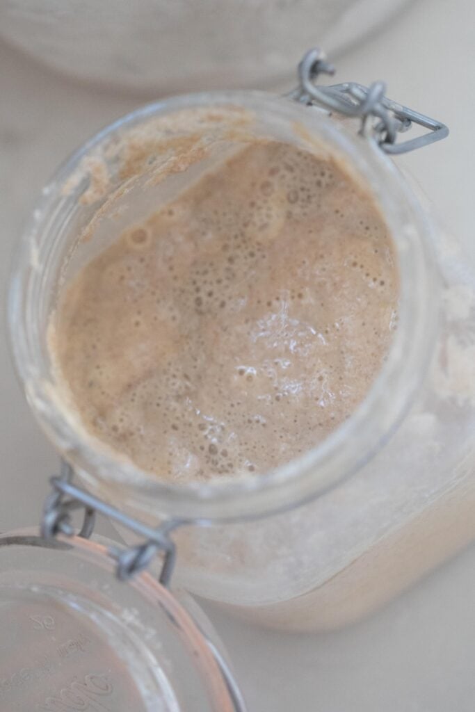 overhead picture of a bubbly whole wheat sourdough starter in a flip top glass container on a white countertop.