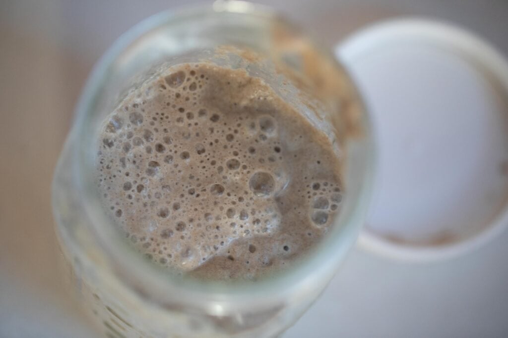 bubbly rye sourdough starter in a glass jar with a white plastic lid to the left
