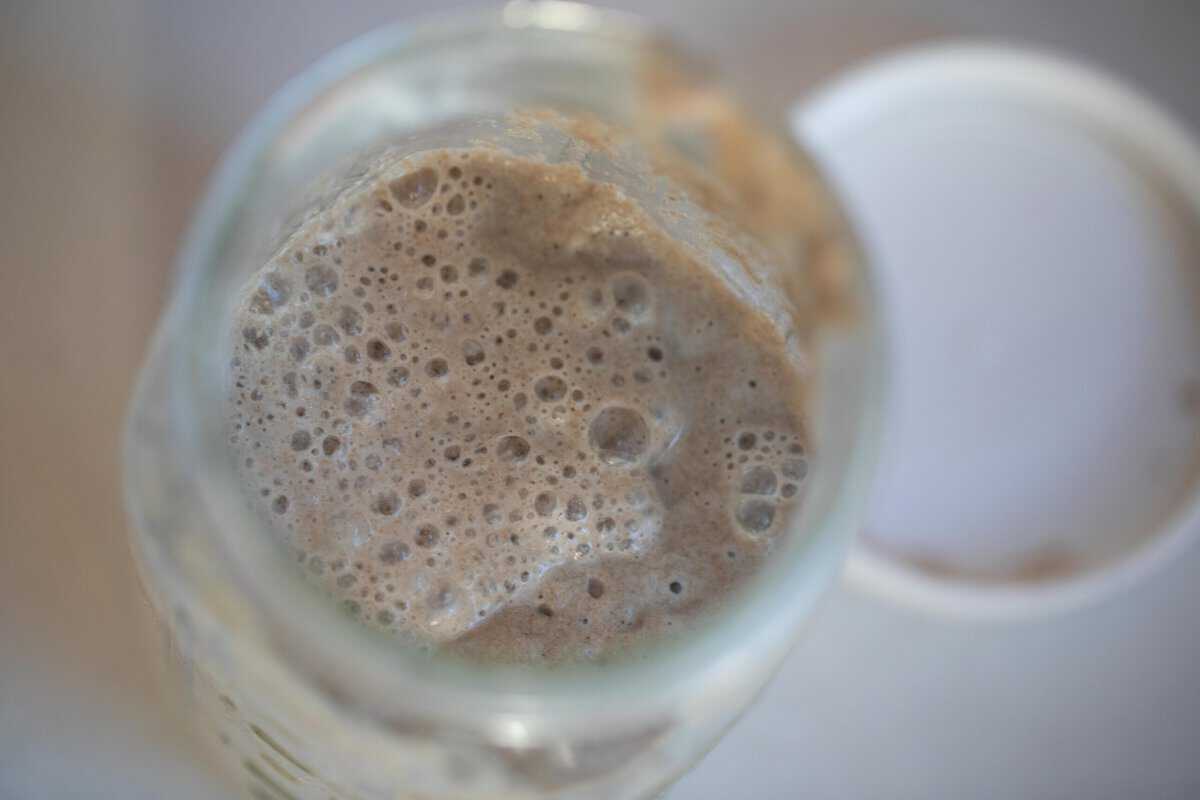 Rye Sourdough Starter-image