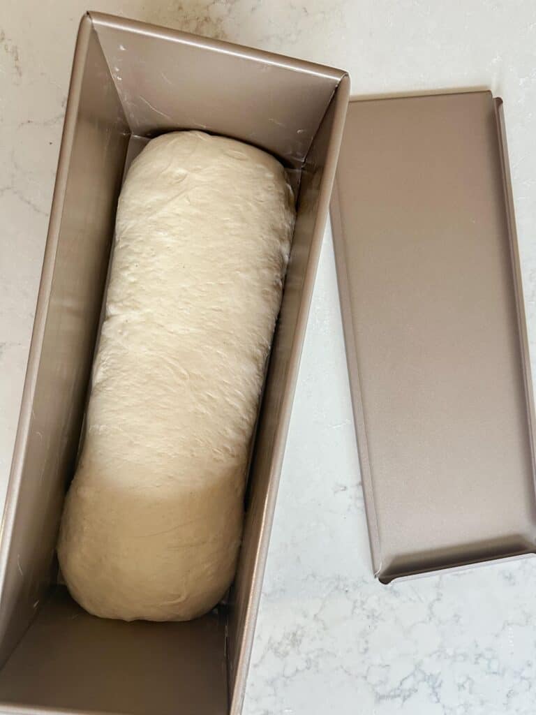 sourdough pain de mie dough rolled into a loaf and placed into a greased pullman pan with the lid off to the side on a white countertop