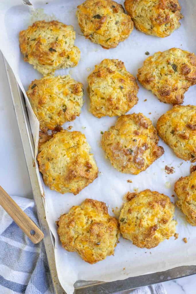 sourdough cheddar biscuits lined up on a parchment paper lined baking sheet