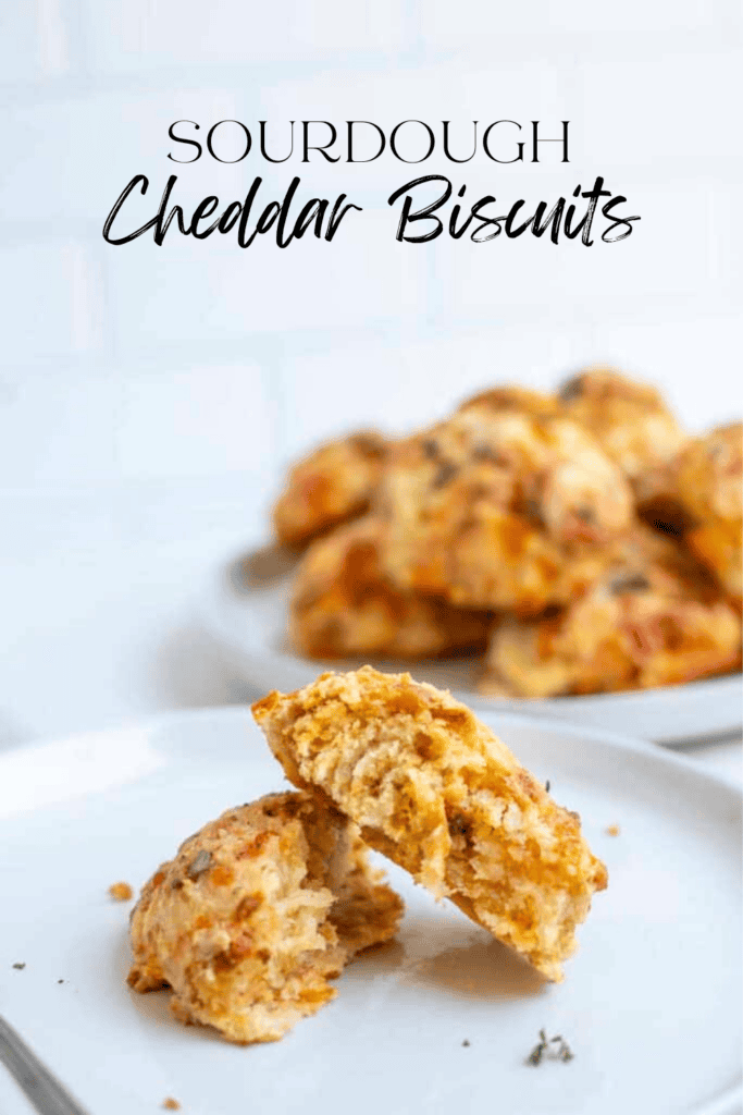 A sourdough cheddar biscuit cut in half and stacked on top of each other on a white plate with a plate stacked full of biscuits in the background. 