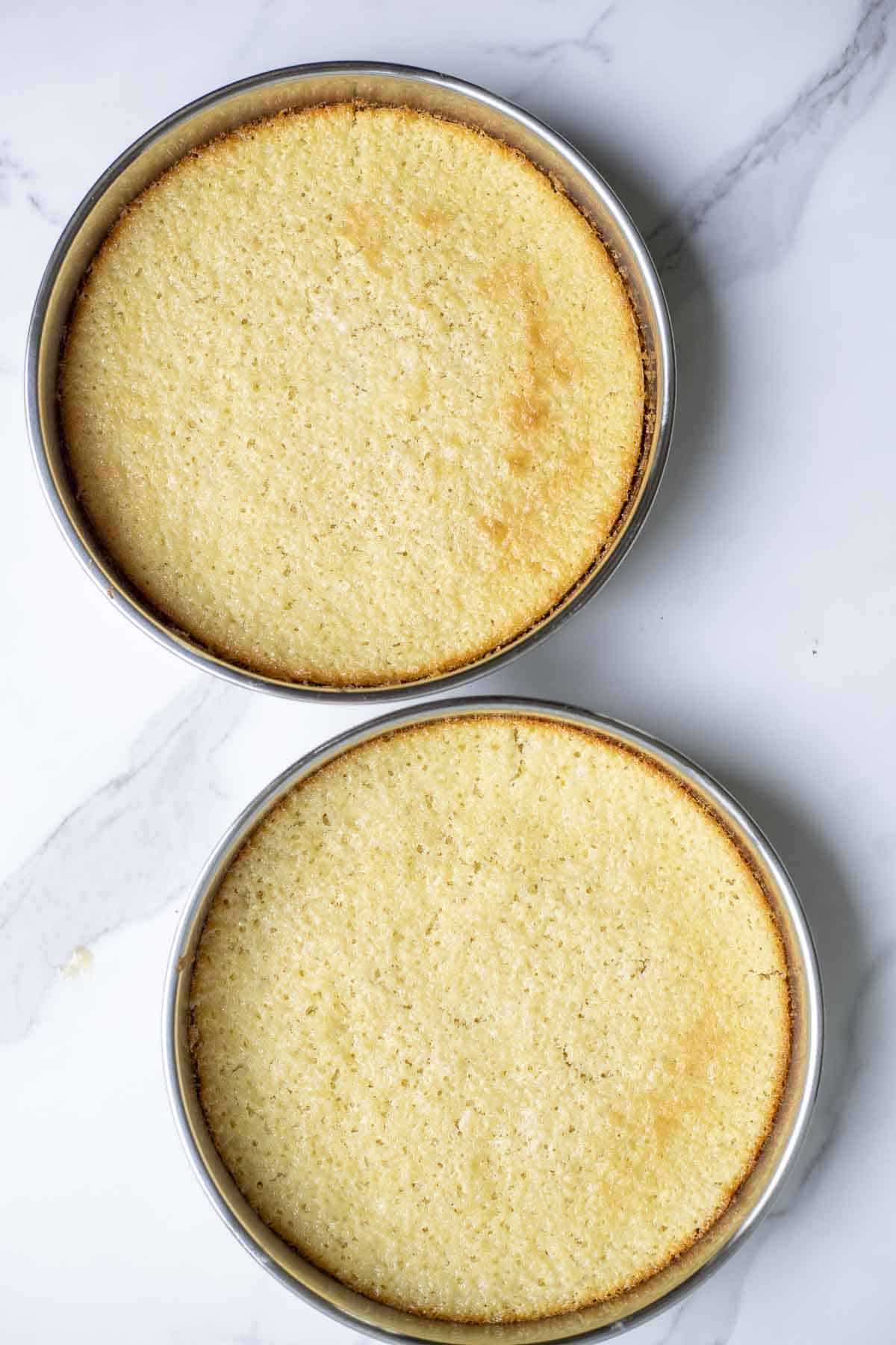 Two lemon sourdough cakes in round pans on a white countertop fresh out of the oven.