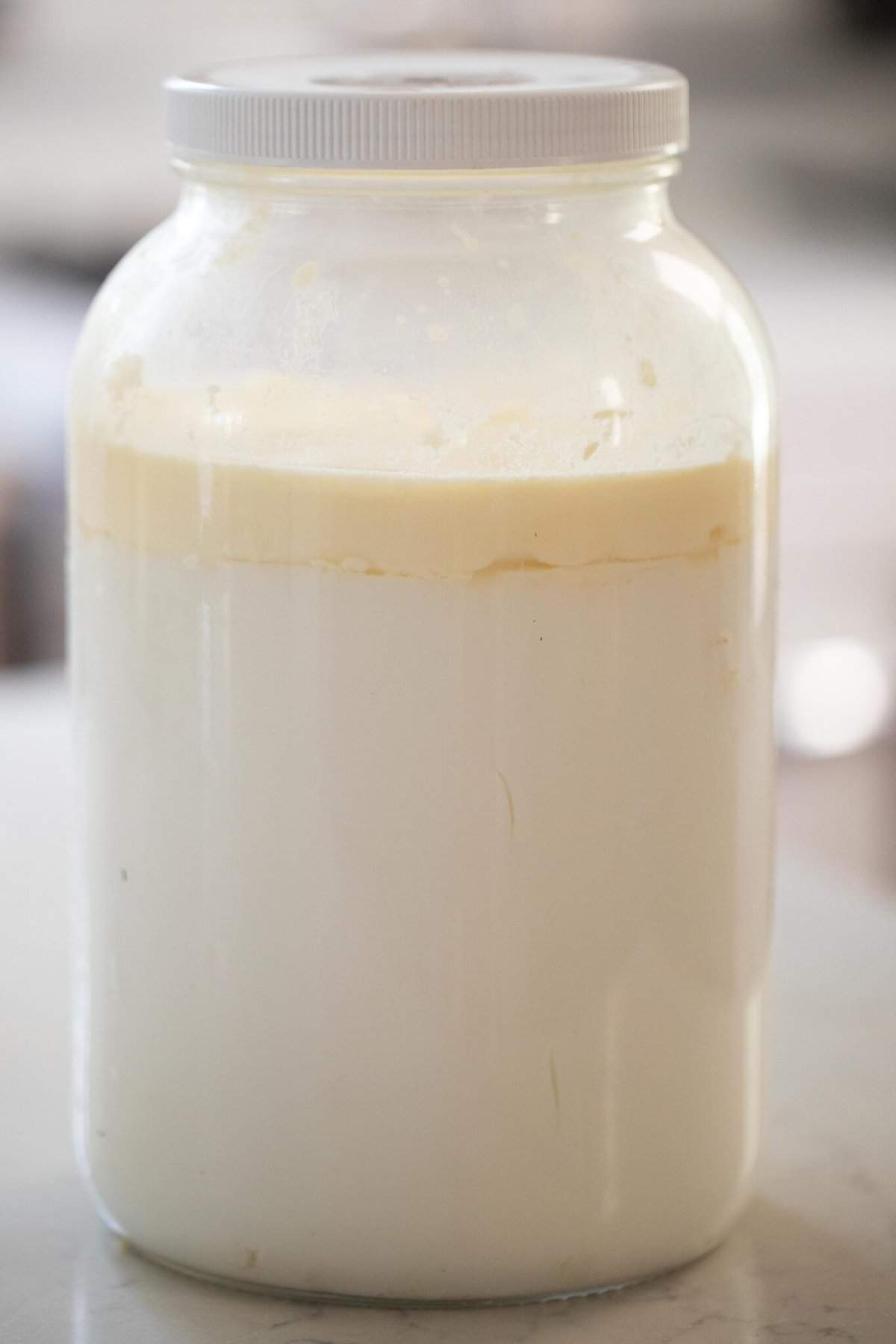 A half gallon jar of fermented milk kefir.