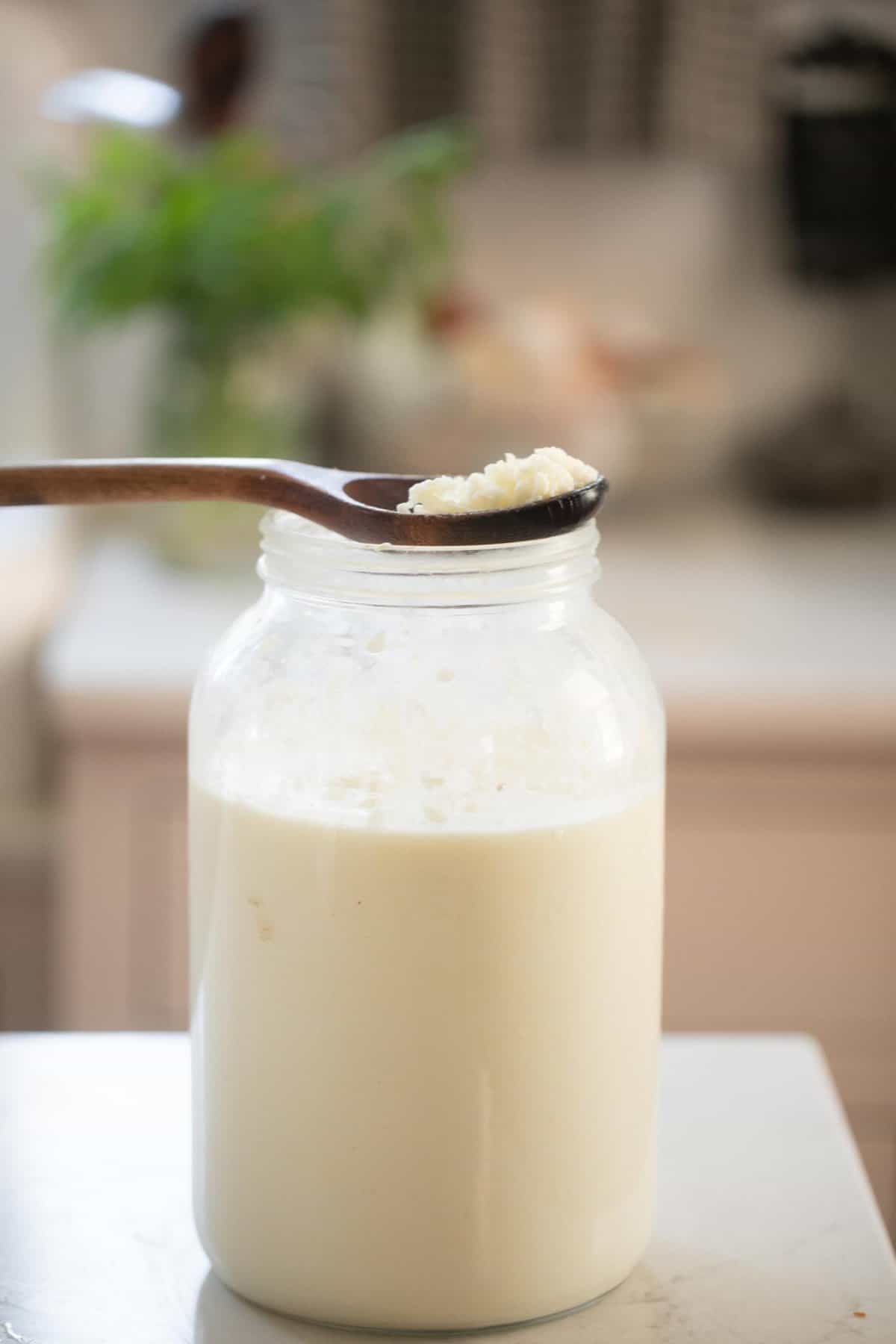 An open half-gallon jar of milk kefir with a spoonful of milk kefir grains.
