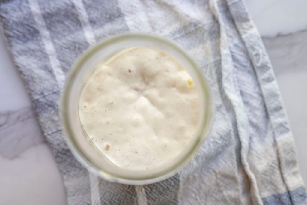 A jar of sourdough starter that is active and bubbly that is sitting on top of a tea towel on a counter.