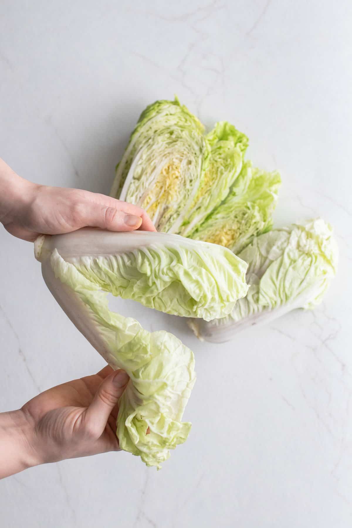 Hands peeling cabbage leaves.