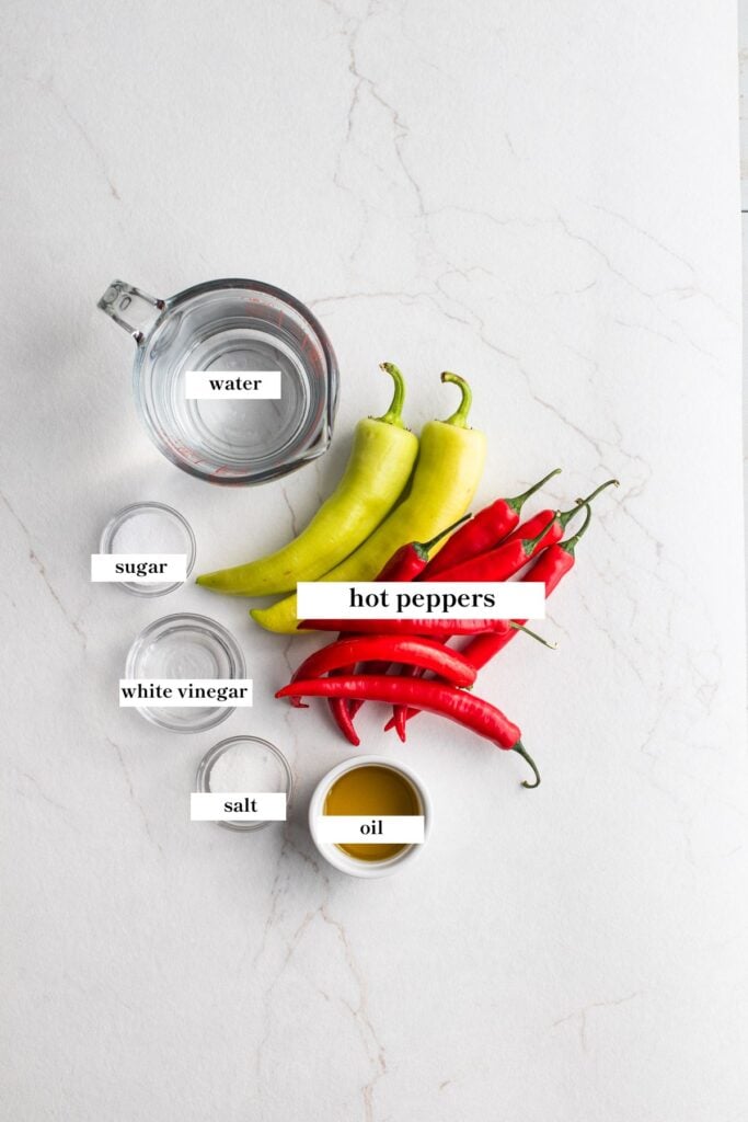 Hot peppers, salt, water and other ingredients on a countertop.