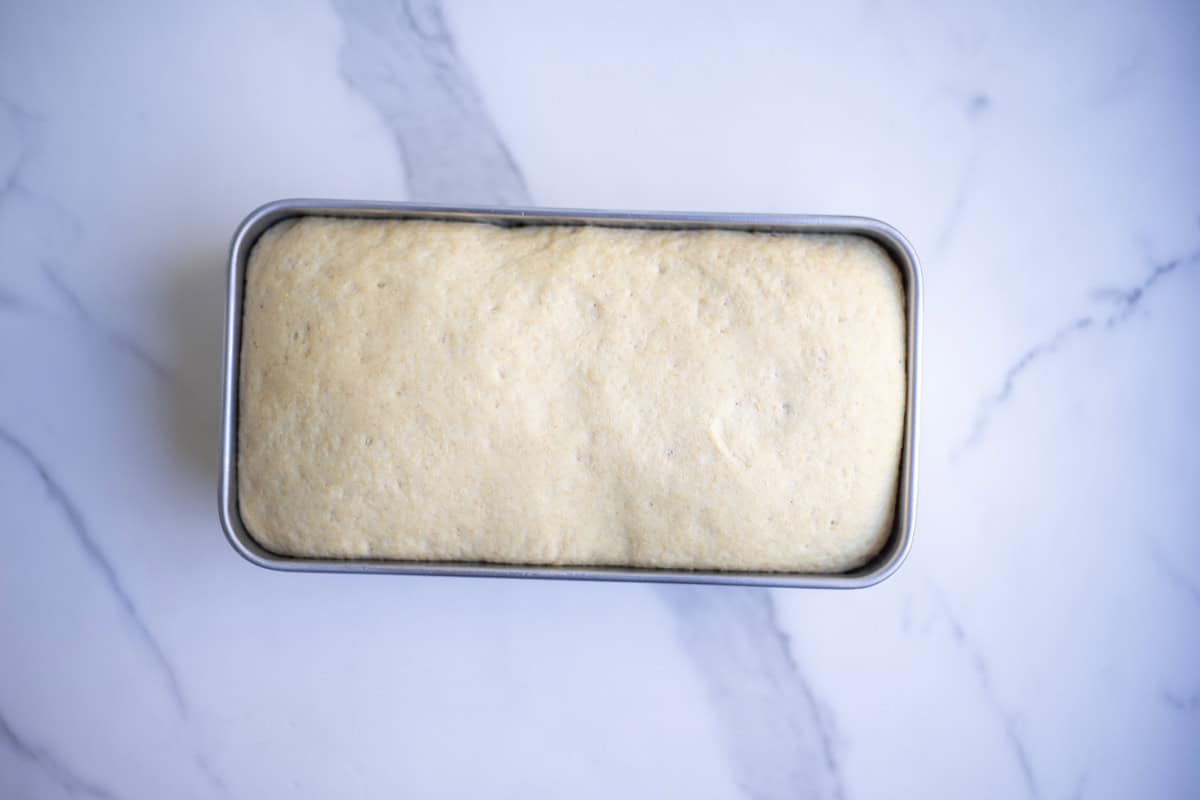 Easy Kamut Bread - Farmhouse on Boone