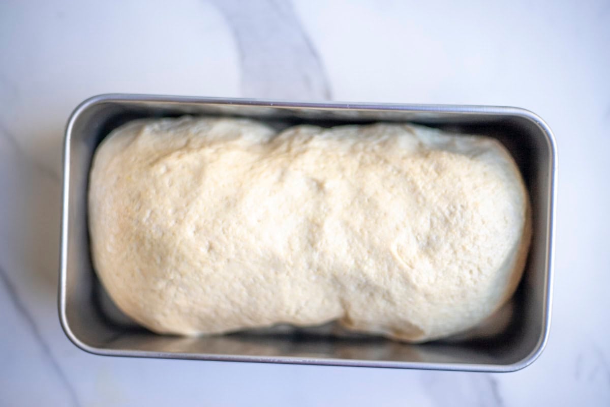 Easy Kamut Bread - Farmhouse on Boone