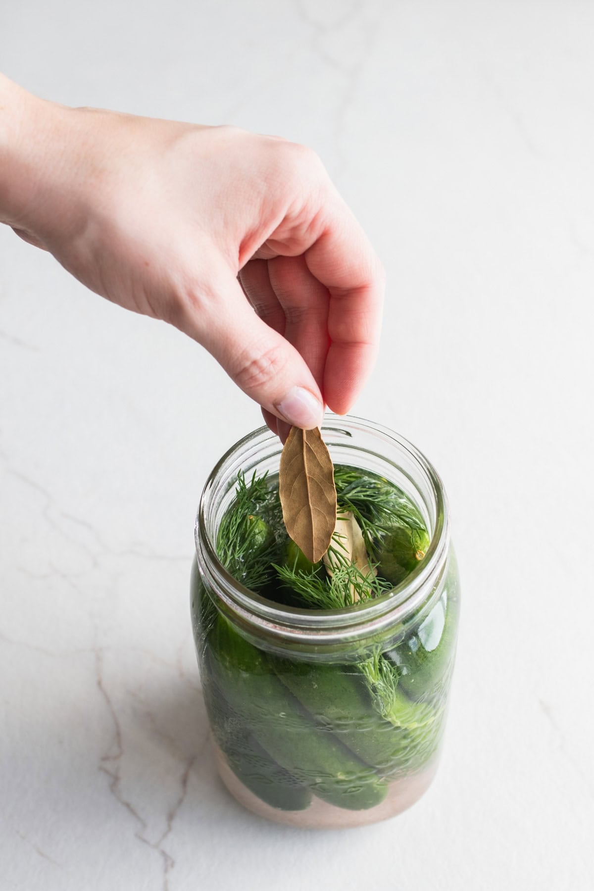 A hand adding a dried bay leaf to a jar of cucumbers.