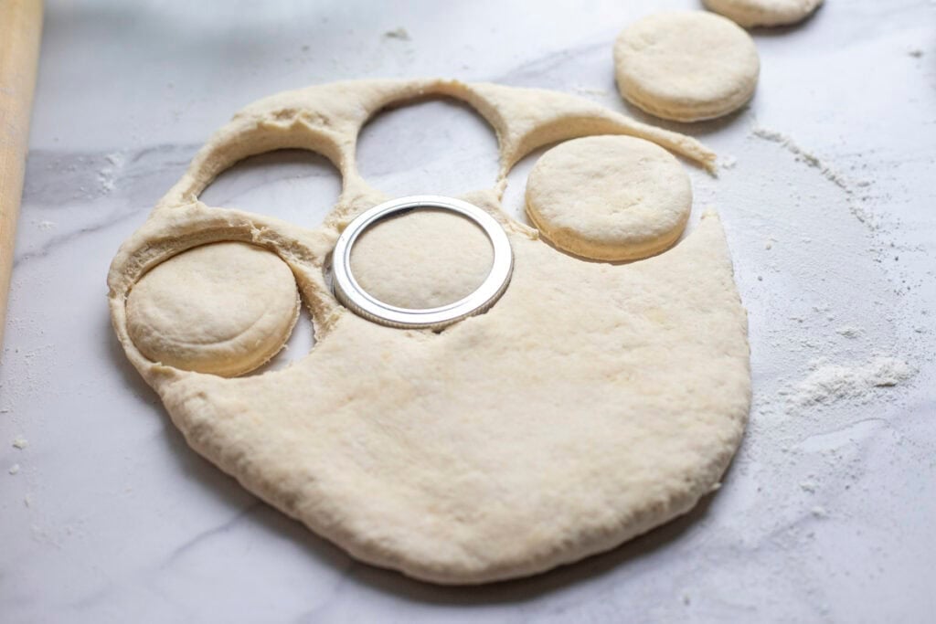 Biscuit dough rolled out on a countertop with biscuits being cut out.