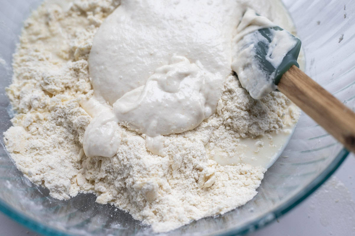 Sourdough starter and milk added to a bowl of butter and flour mixed together.