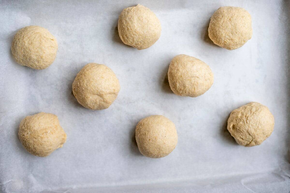 Whole wheat sourdough dinner roll balls on parchment lined cookie sheet.