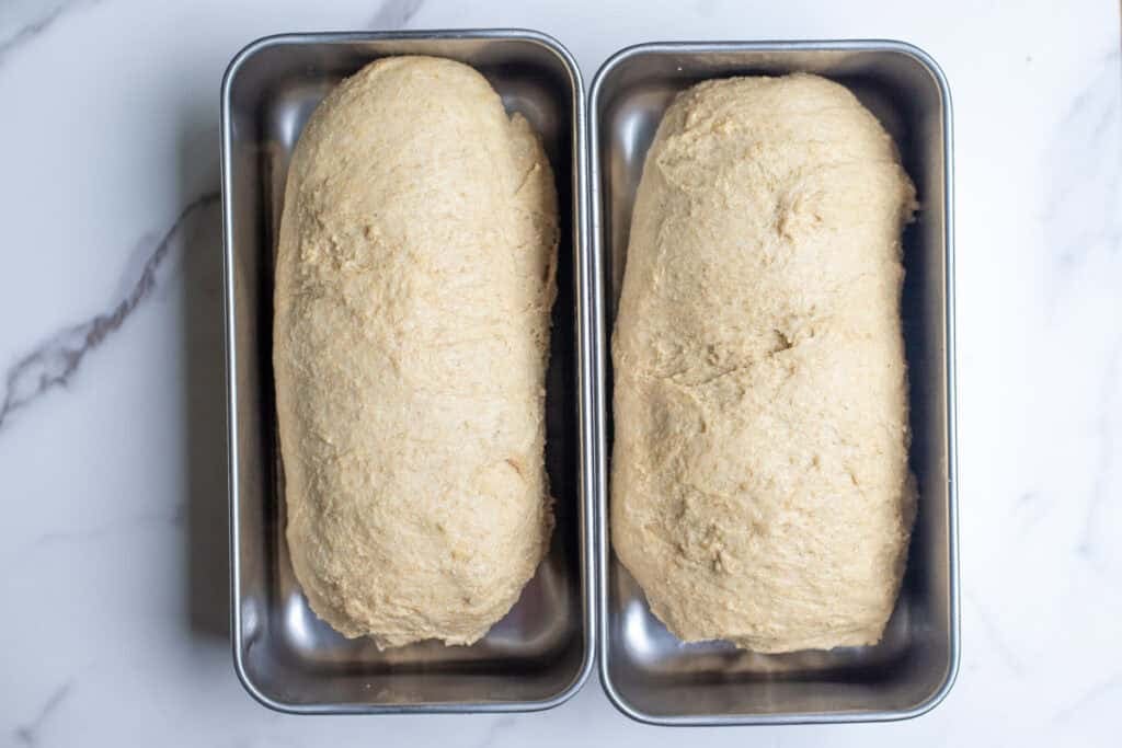 Bread dough in bread pans.