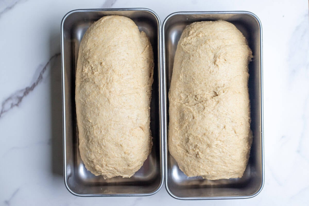 Bread dough in bread pans.