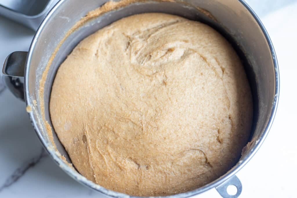 Bread dough risen in a stand mixer bowl.