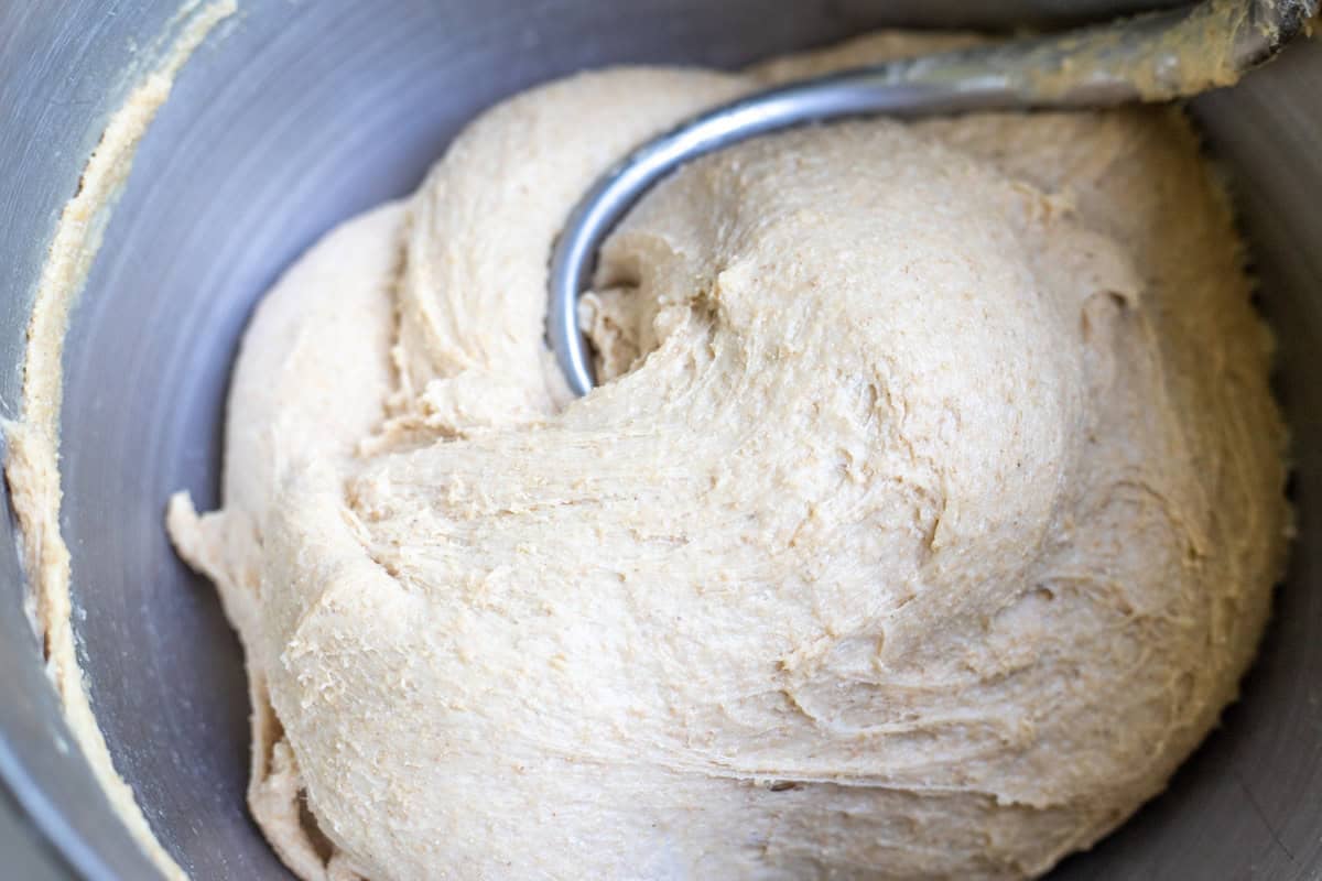 Fresh milled sourdough sandwich bread dough in a stand mixer with a dough hook.