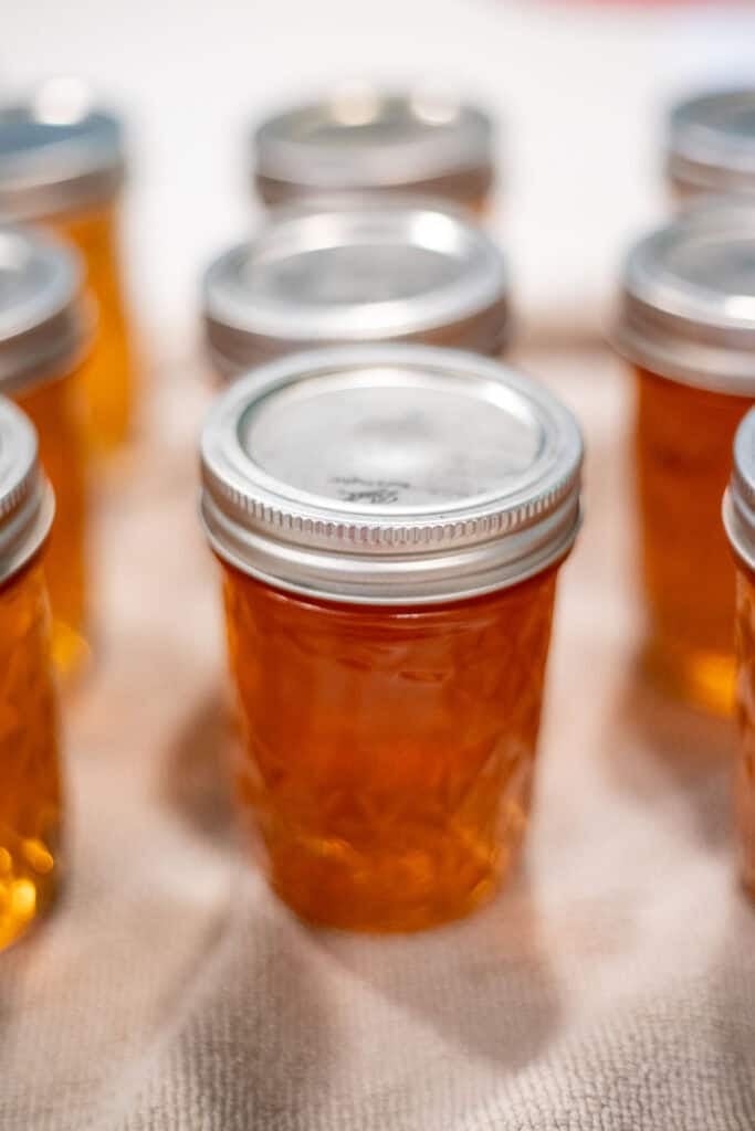 Canned peach jelly jars sitting on the counter top.