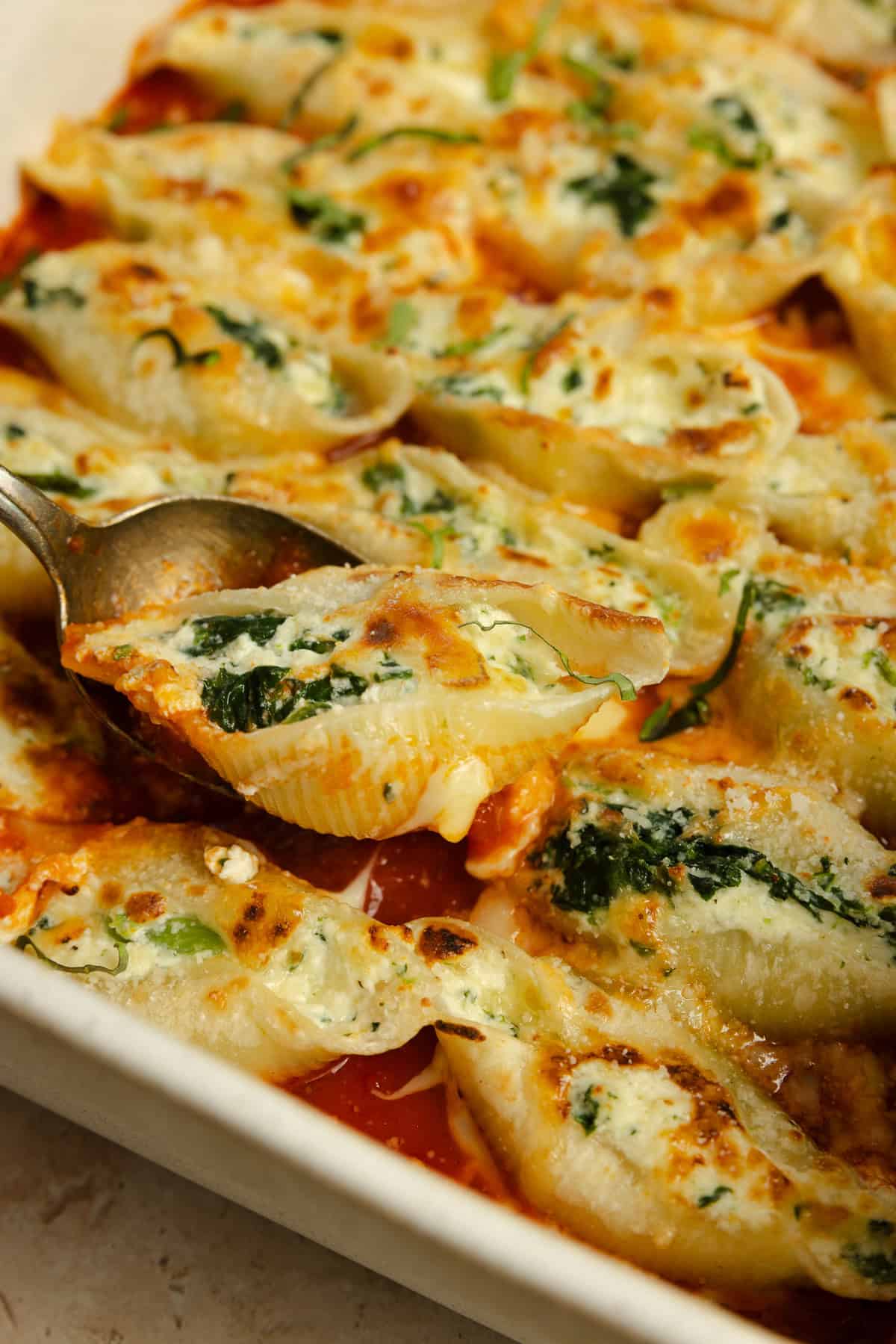 Cooked jumbo pasta shells in a dish.