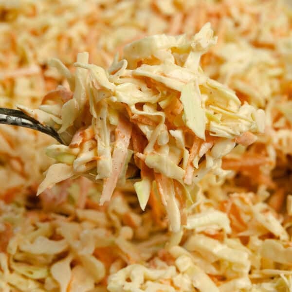 a fork lifting up a bite full of coleslaw.