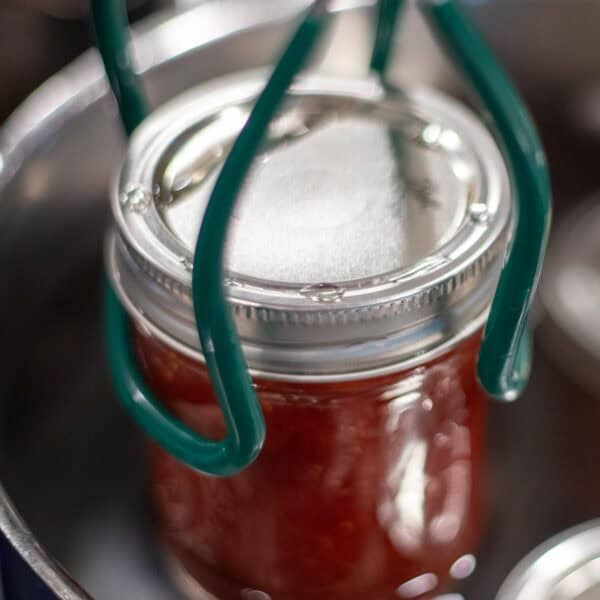 placing a glass jar of jelly into a water bath canner.